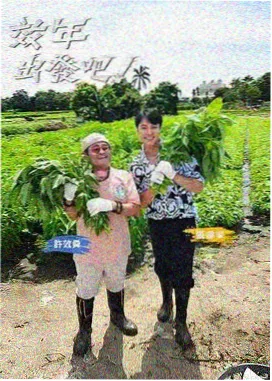 出发吧少年团 旅行竞技综艺海报